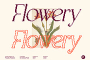 CS Anthea Pixel, a Serif Font by Craft Supply Co. (Thumbnail 6 of 8)