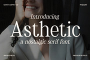 Asthetic - Nostalgic Serif Font, a Serif Font by Craft Supply Co. (Thumbnail 1 of 8)