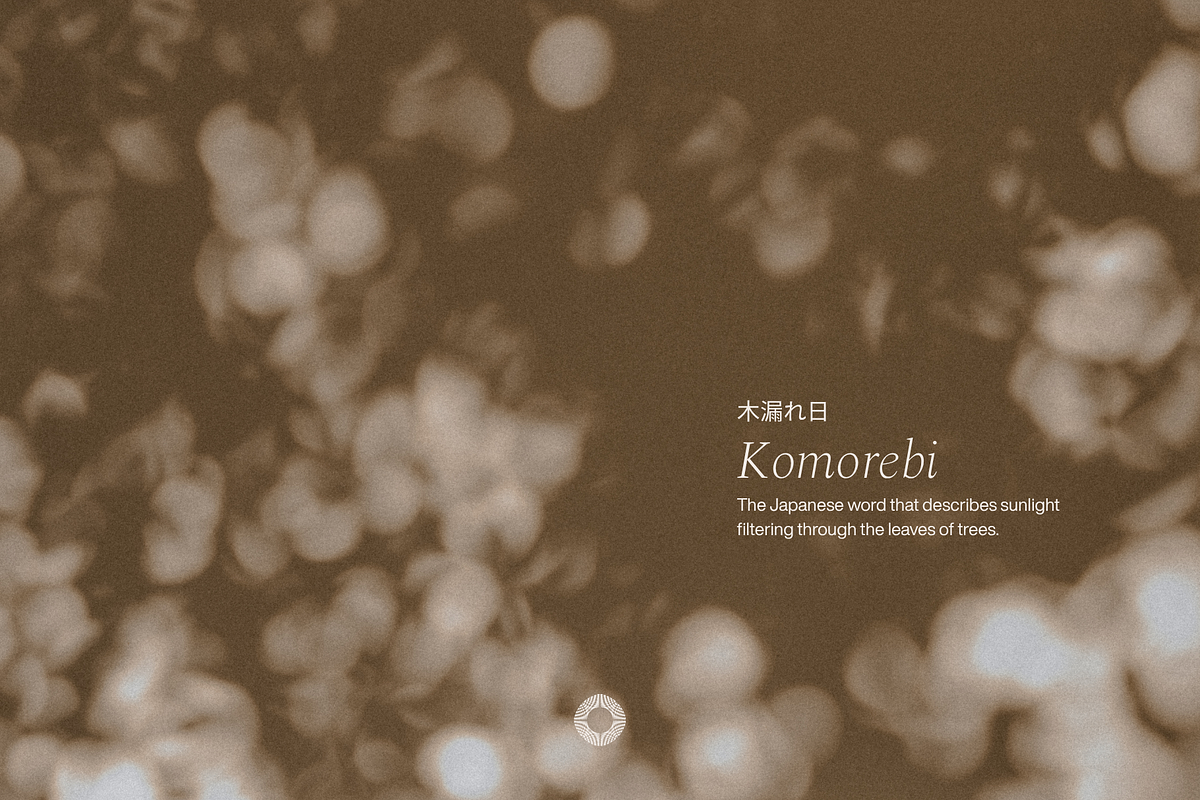 Komorebi Garden Shadows Backgrounds, a Background Graphic by Cosmic Energy Studio (Photo 4 of 5)