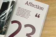 CS Rhesa – Classic Font, a Serif Font by Craft Supply Co. (Thumbnail 7 of 8)