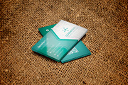 Business Card Design, a Business Card Template by DesignsStore (Thumbnail 2 of 3)