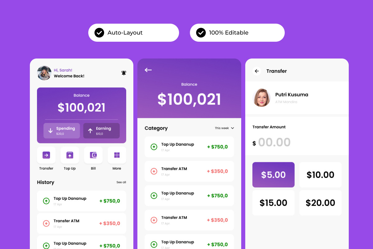 DigiPay - E-Wallet Mobile App, an App Template by twinstd (Photo 2 of 5)