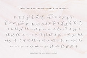 Amelie - Chic & Elegant Script Font, a Script Font by SilverStag Type Foundry (Thumbnail 21 of 23)