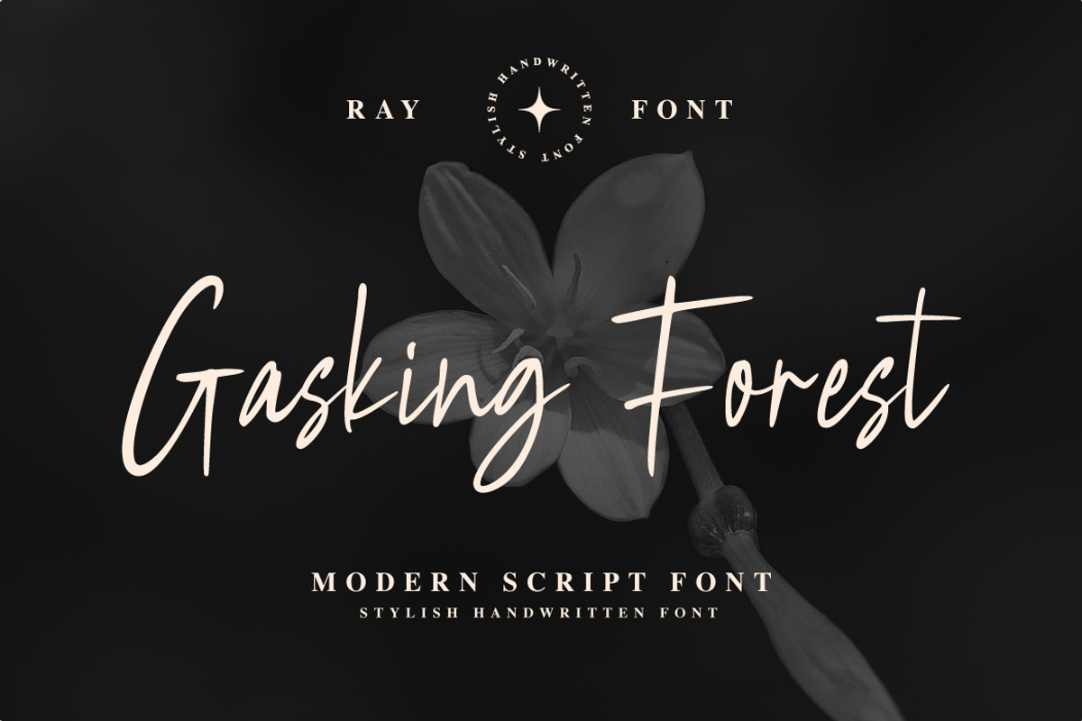 Lustine Signature – Modern Script, a Script Font by kangfont Studio (Photo 3 of 8)