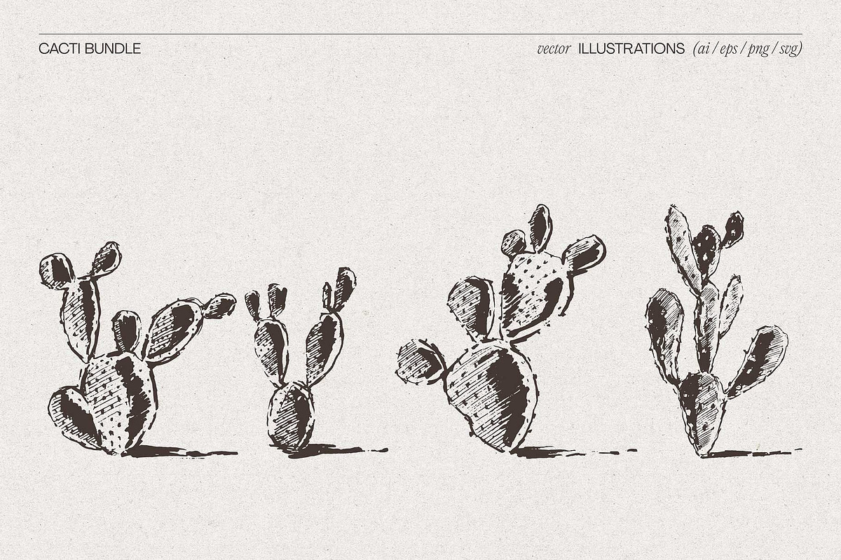 Sketch Cacti Vector Bundle, a Seasonal Illustration by TheMountBirdStudio (Photo 9 of 14)