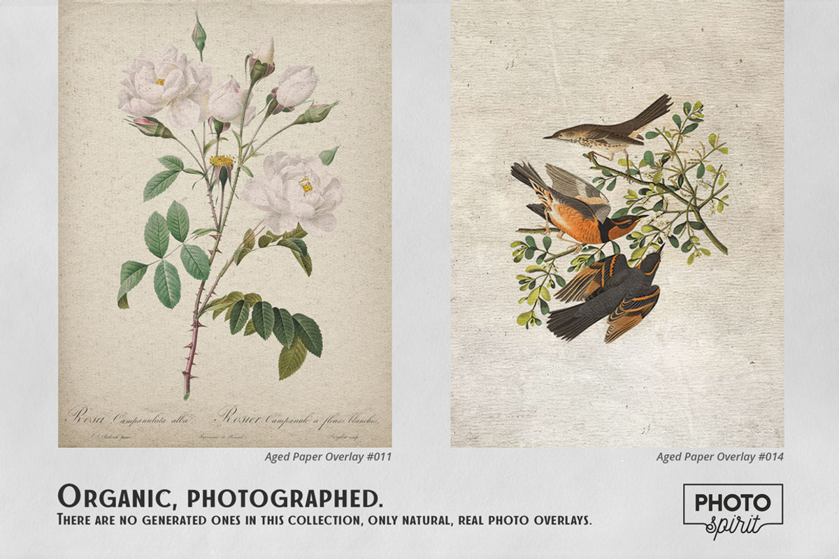 Aged Paper Effect Overlays, a Brushes & More by PhotoSpirit (Photo 3 of 9)