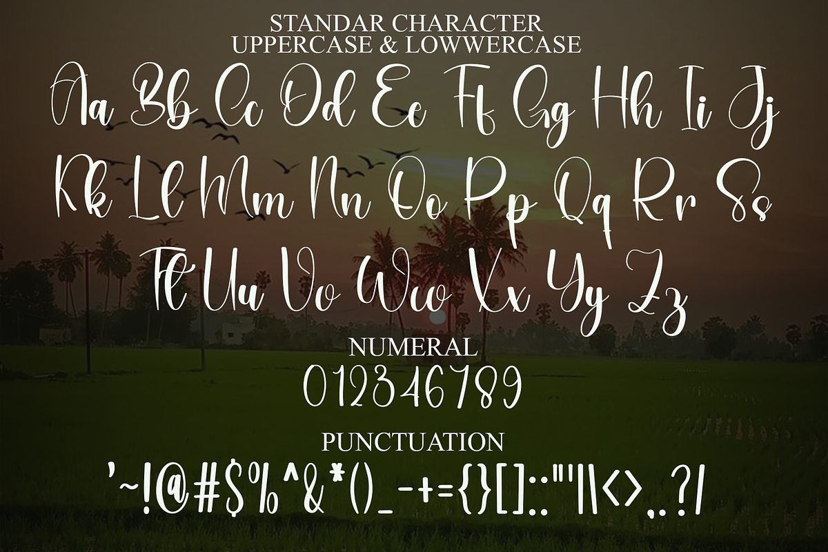 Signature Girlband, a Handwritten Font by FreshTypeINK (Photo 7 of 8)