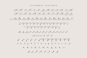 Bidena | Script Font, a Script Font by twinstd (Thumbnail 8 of 11)
