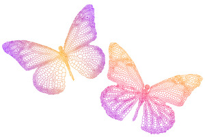 Beautiful Butterflies, Vector