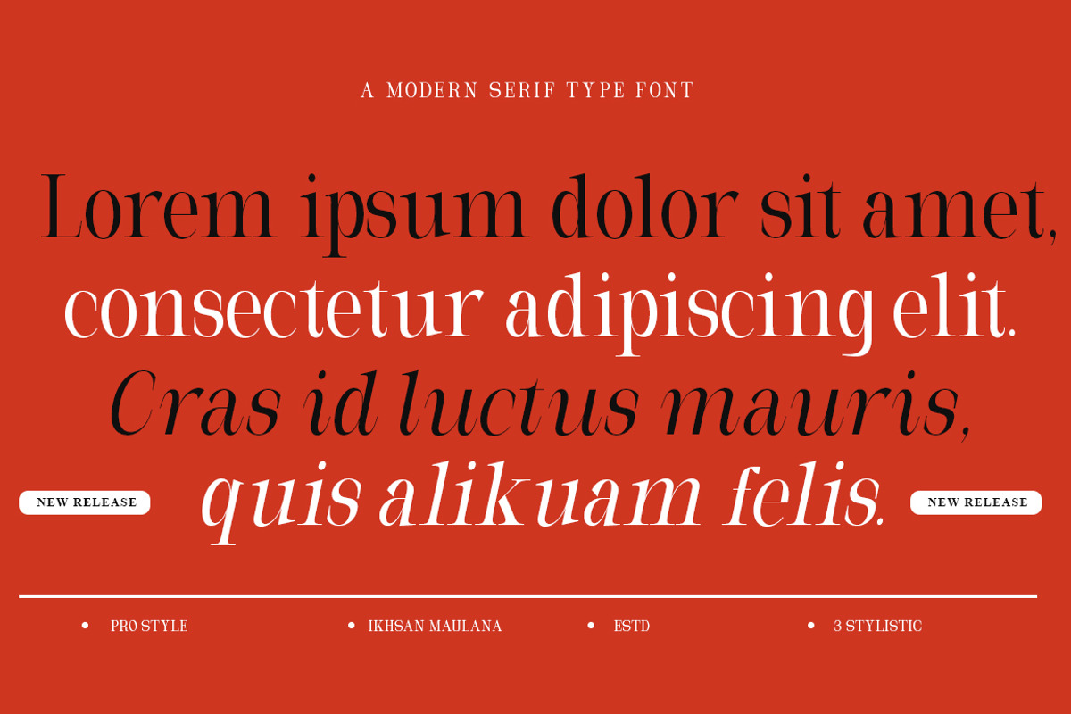 Milghera Serif, a Serif Font by IM Studio (Photo 10 of 12)