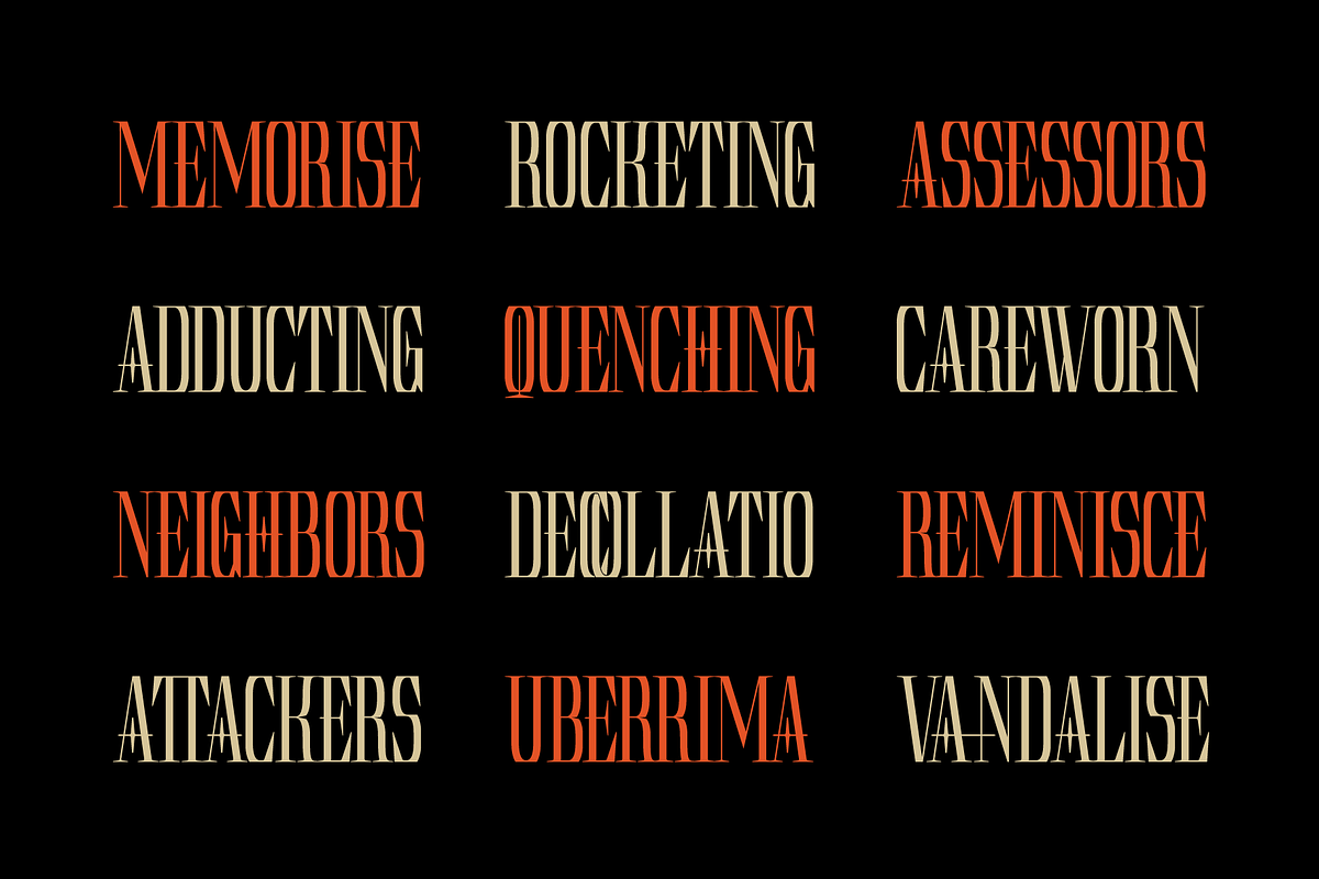 Theome – Serif Display Font, a Serif Font by MooneseyeType (Photo 2 of 9)