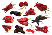 Dried Peppers, a Food & Drink Photo by Hortimages (Thumbnail 1 of 2)