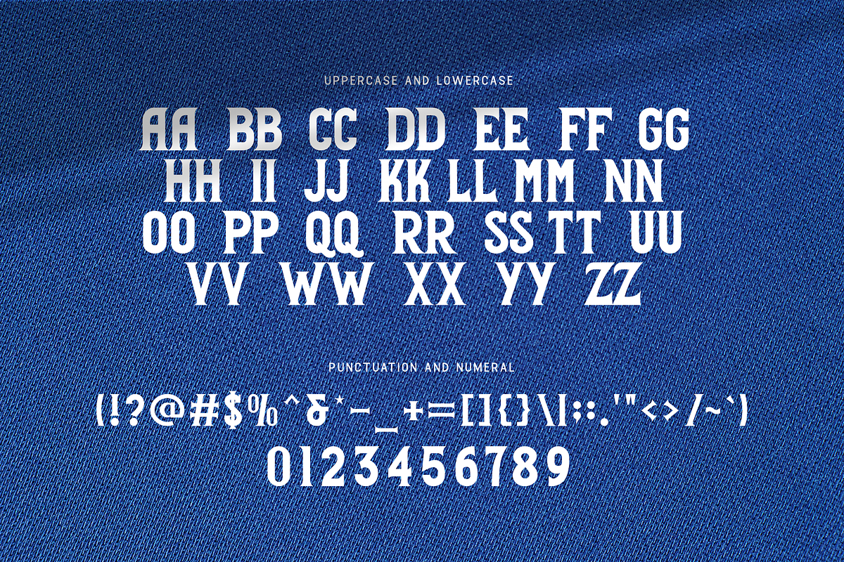 Brighton - Embroidery Serif BX Font, a Serif Font by overlaytemplates (Photo 4 of 5)
