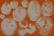 Fruit Brushes - Vol 1, a Brush Add-On by PixieSparks (Thumbnail 5 of 5)