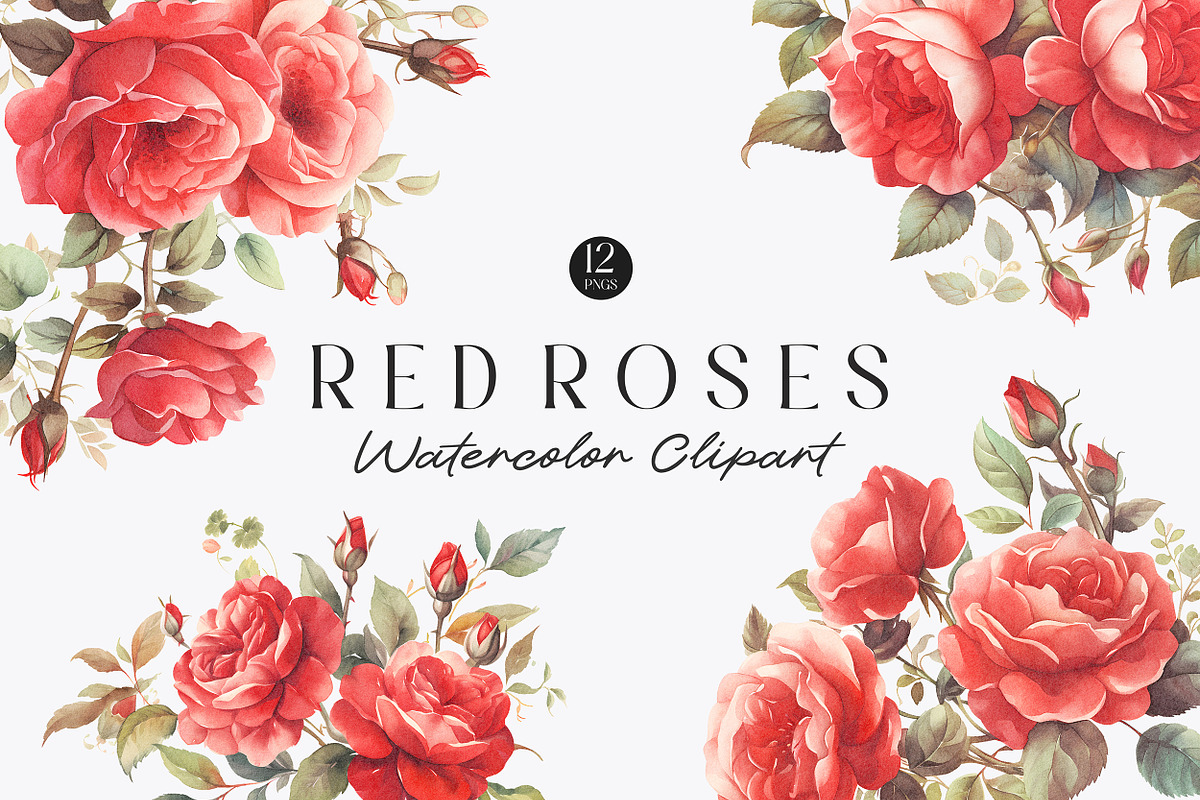 Watercolor Red Roses Clipart, a Decorative Illustration by Primrose Blume (Photo 1 of 4)