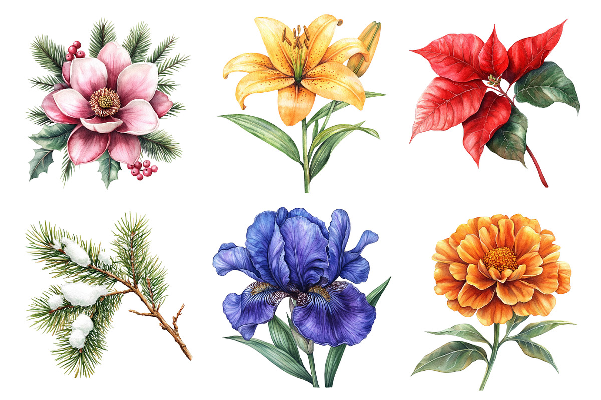Watercolor Christmas Floral Clipart, an Illustration by Daily.Designs (Photo 3 of 5)