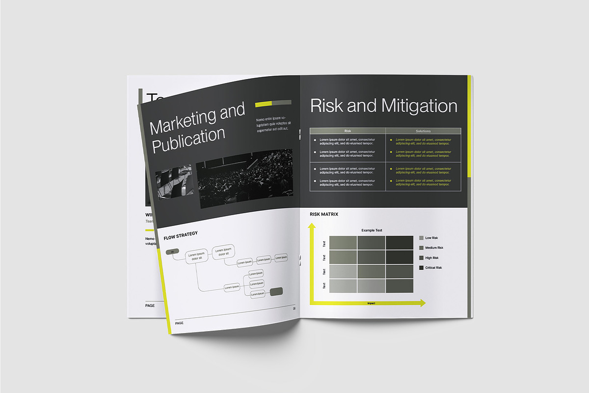 Project Business Proposal Template, a Brochure Template by TMint Play (Photo 4 of 8)