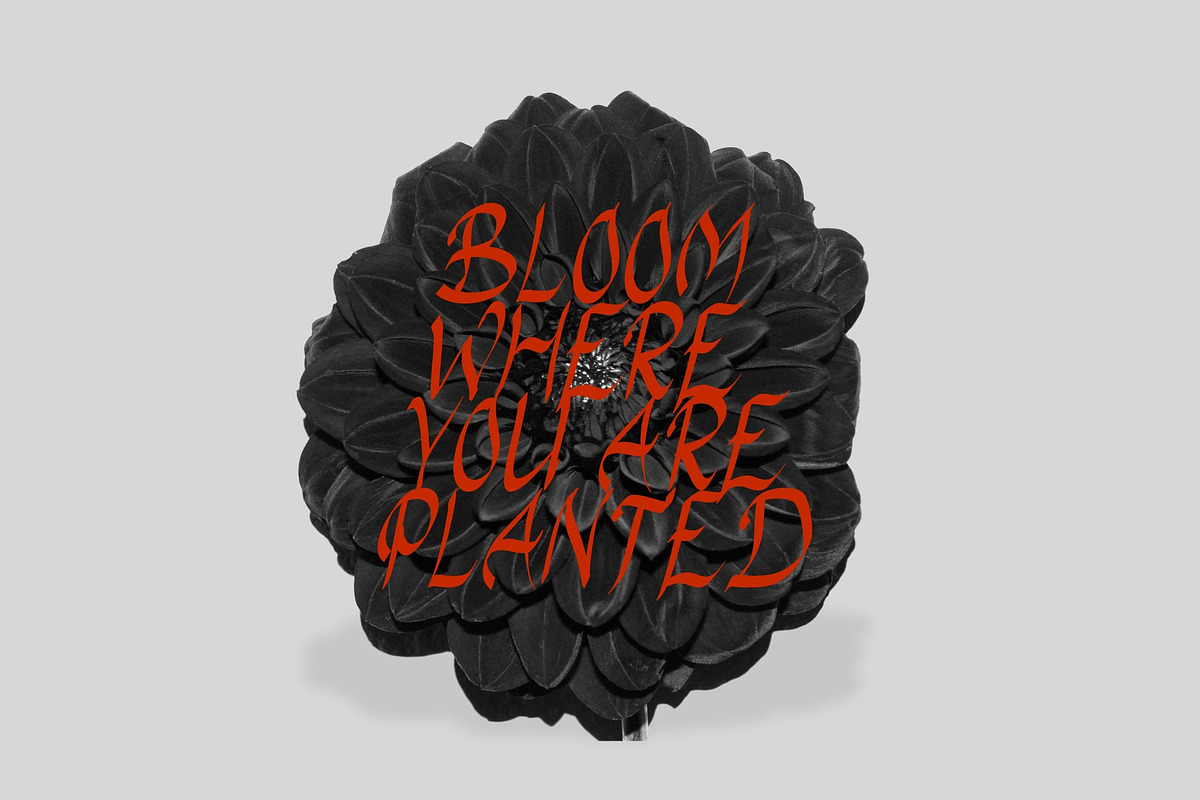 Gothy Black, a Blackletter Font by rudiSasori (Photo 8 of 13)