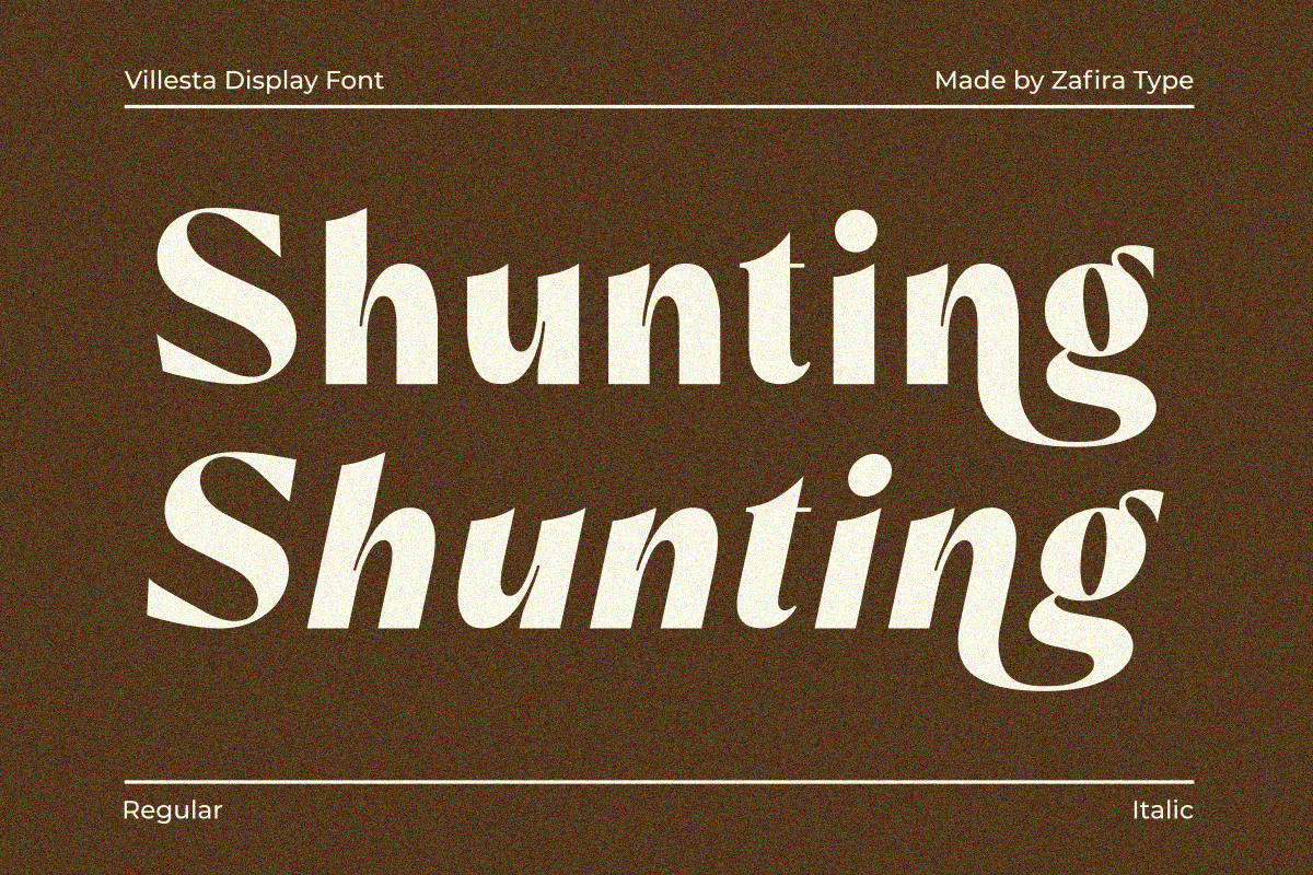 Villesta, a Sans Serif Font by Zafiratype (Photo 11 of 14)