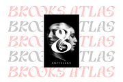 Switella - Modern Decorative Font, a Serif Font by TypeClassHeroes (Thumbnail 5 of 10)
