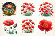 Corn Poppy Flower Bloom Clipart, an Illustration by Dream Creation (Thumbnail 3 of 6)