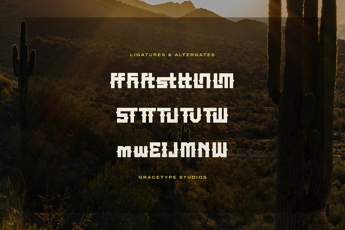 Lanarei | Western Slab Serif, a Slab Serif Font by gracetype_studio (Photo 12 of 12)