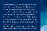 Bright Nastury Texture Brush Font, a Script Font by stylishtype.co (Thumbnail 5 of 20)