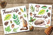Forest life Watercolor set, an Animal Illustration by Green_leaf_17 (Thumbnail 2 of 4)