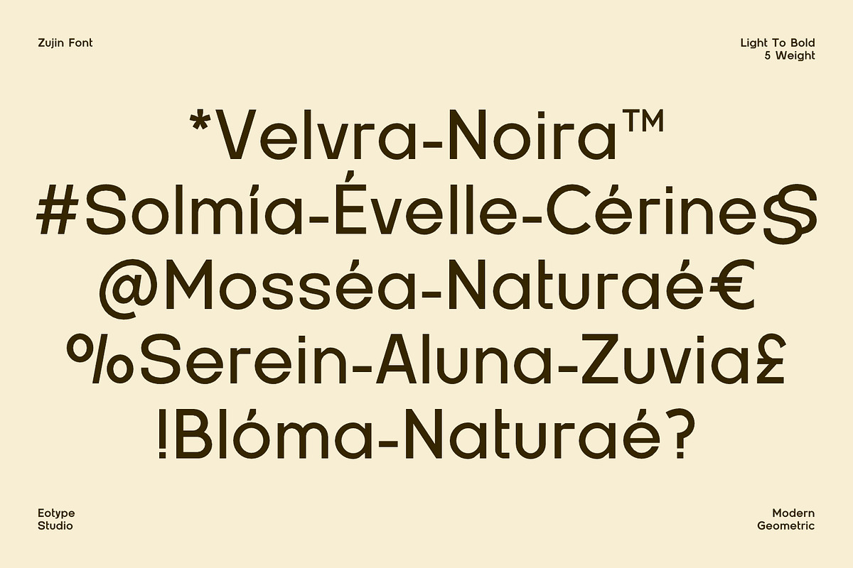 Zujin - Geometric Sans-Serif, a Font by Eotype Studio (Photo 6 of 12)
