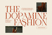 Rifah Elegant Serif Font, a Serif Font by Perfectype (Thumbnail 6 of 8)