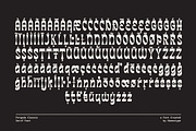 Porgade – Classic Editorial Serif, a Serif Font by Honestype (Thumbnail 12 of 12)