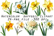 Watercolor daffodil Clipart, an Illustration by Designworld (Thumbnail 1 of 5)