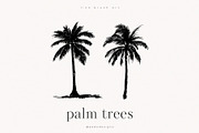Palm Trees, an Object Illustration by PeDe Designs (Thumbnail 3 of 9)