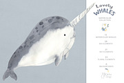 WHALES watercolor collection, an Animal Illustration by OlliArtDesign (Thumbnail 2 of 9)