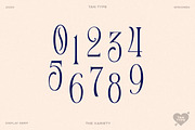 TAN - Variety, a Serif Font by TanType (Thumbnail 20 of 26)
