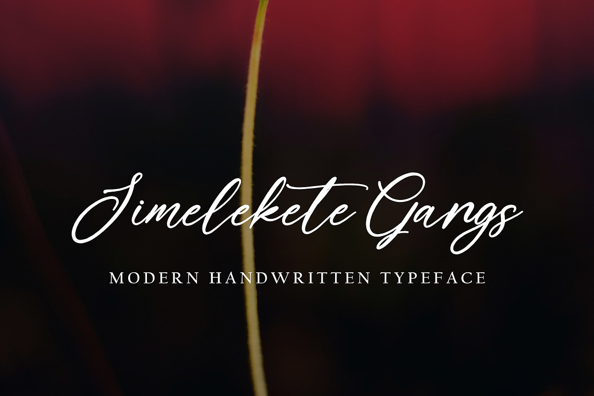 Eurotica, a Handwritten Font by pineungtype (Photo 3 of 7)