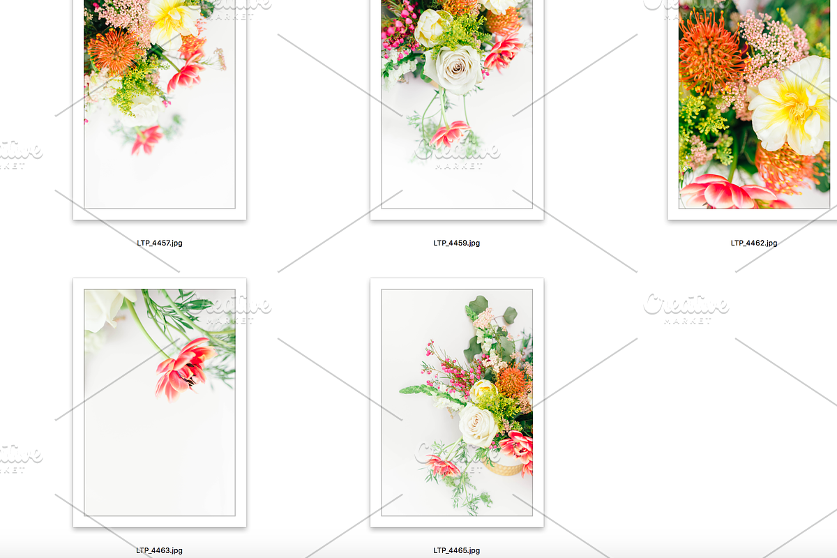 Colorful Floral Stock Photo Bundle, a Print Template by Ledia Tashi Designs (Photo 4 of 4)