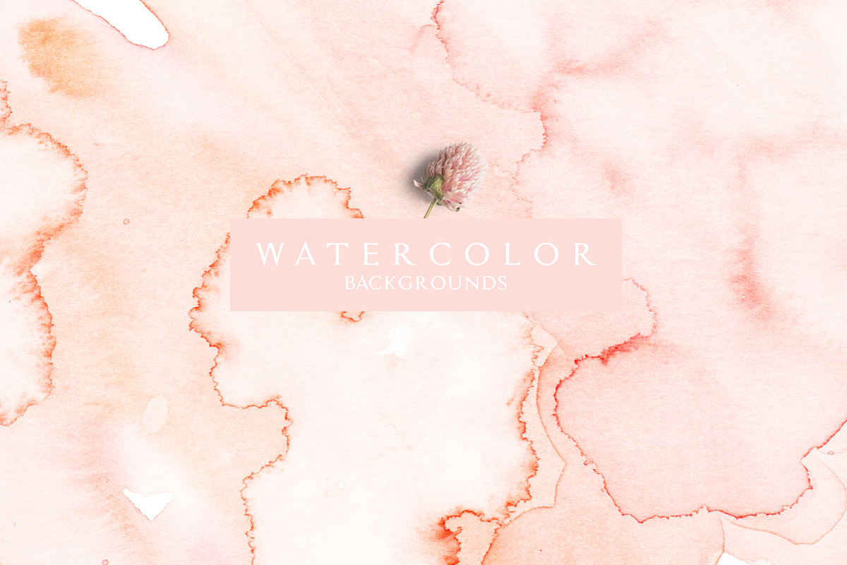 Living Coral - Duality Set, an Illustration by studioequinox (Photo 15 of 16)
