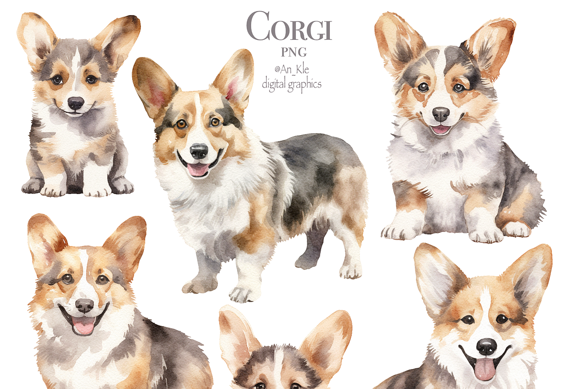 Corgi, an Illustration by TheCuteShop (Photo 2 of 3)