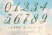 Ornavelle - Bloom Beautifully, a Script Font by HypeWorksCo (Thumbnail 22 of 22)