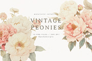 Vintage Peonies, a Decorative Illustration by PeDe Designs (Thumbnail 1 of 7)