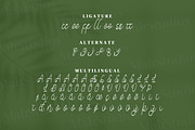 Abjoccy Script Fonts, a Script Font by mahstudios (Thumbnail 13 of 14)