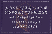 Radiansi - Vintage Script, a Script Font by Lemon Studio Type (Thumbnail 5 of 7)