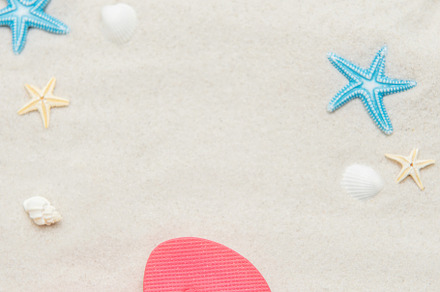 Pink flip flops, seashells, and starfishes creating relaxing sum