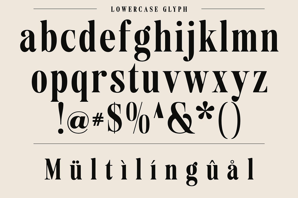 Agency Vinatge Serif Display, a Serif Font by Luna Shop (Photo 5 of 9)