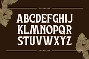 Rouzel Vintage - Retro Logo Font, a Serif Font by Nirmana Visual (Thumbnail 6 of 9)
