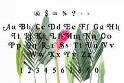 GILBERT Hand Crafted Font, a Serif Font by Rhonna Designs (Thumbnail 3 of 3)