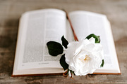 Bible Study Bundle - 45 Stock Photos, a Holiday Photo by JanaBishopCollection (Thumbnail 9 of 20)