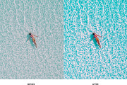 30 Summer Lightroom Presets, an Action Add-On by Lightgram.com (Thumbnail 7 of 10)