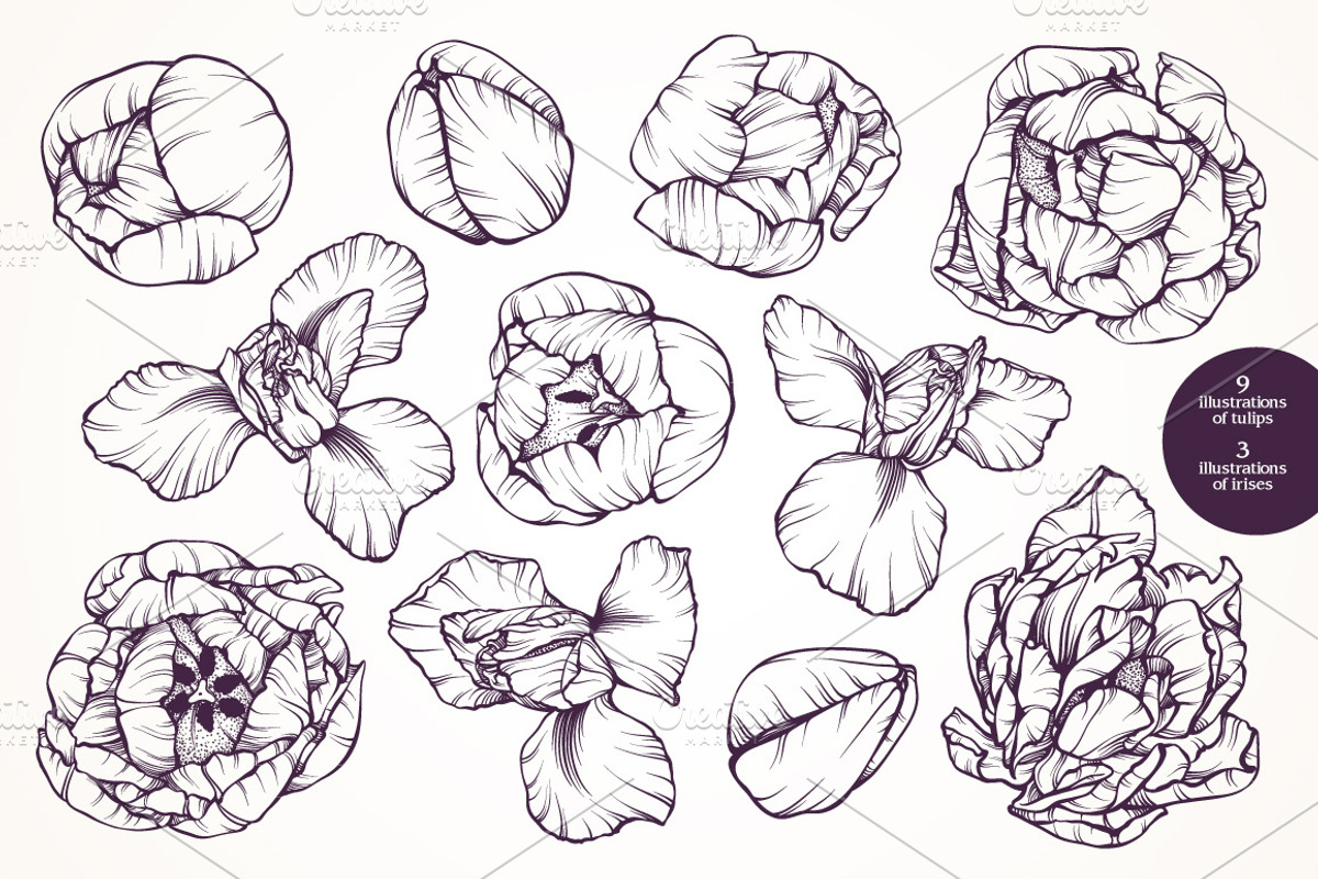 Vector set of linear flowers graphic, a Decorative Illustration by Color and Decor (Photo 2 of 5)